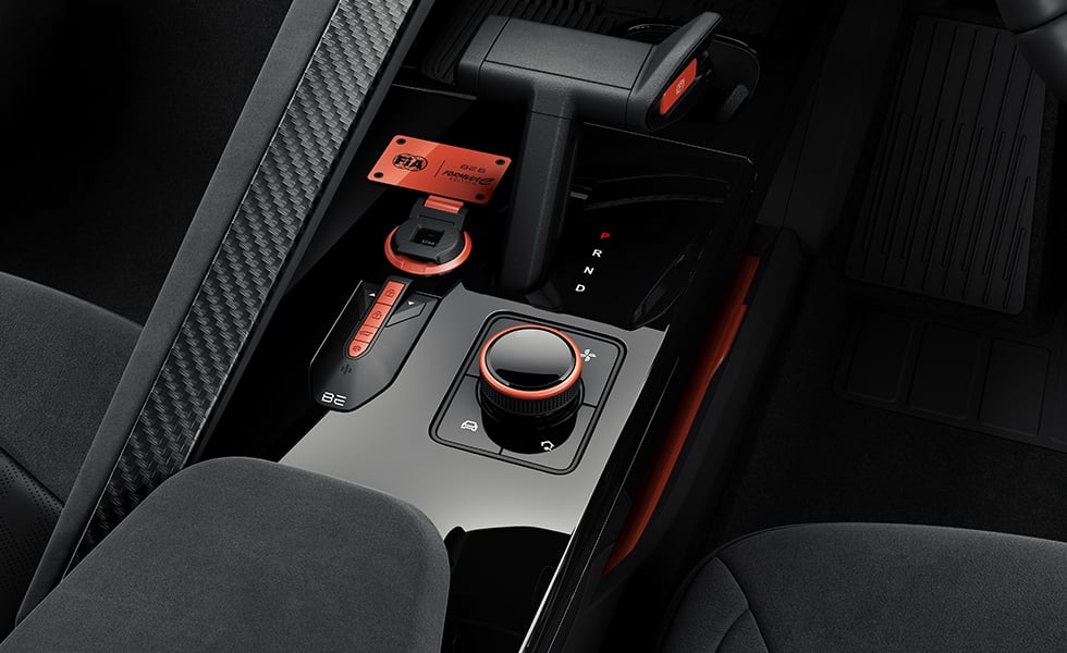 Custom Batman Decals on front doors